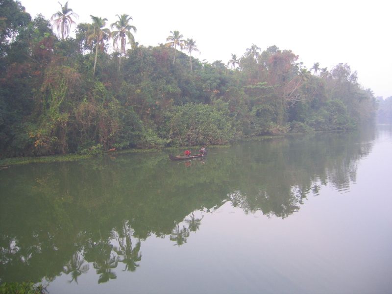 A river in the early-morning light